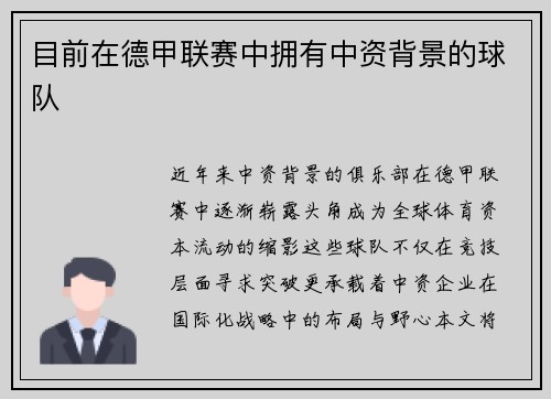 目前在德甲联赛中拥有中资背景的球队